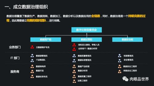 集團數據管控與數據治理解決方案 打造高效、可信的數據處理服務